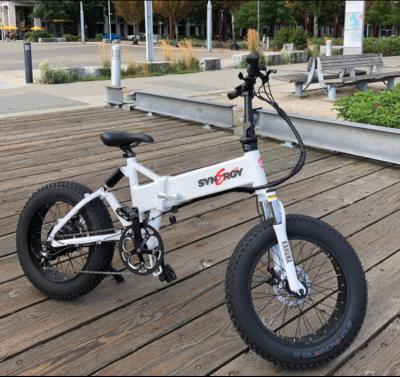 Synergy Electric Bike With Tektro Hydraulic Brakes In white - Kahuna (W)