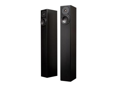 Totem Acoustics Ultra-Slim Design Floorstanding Speaker - Arro (B) 
