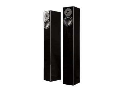 Totem Acoustics Ultra-Slim Design Floorstanding Speaker  - Arro (D)